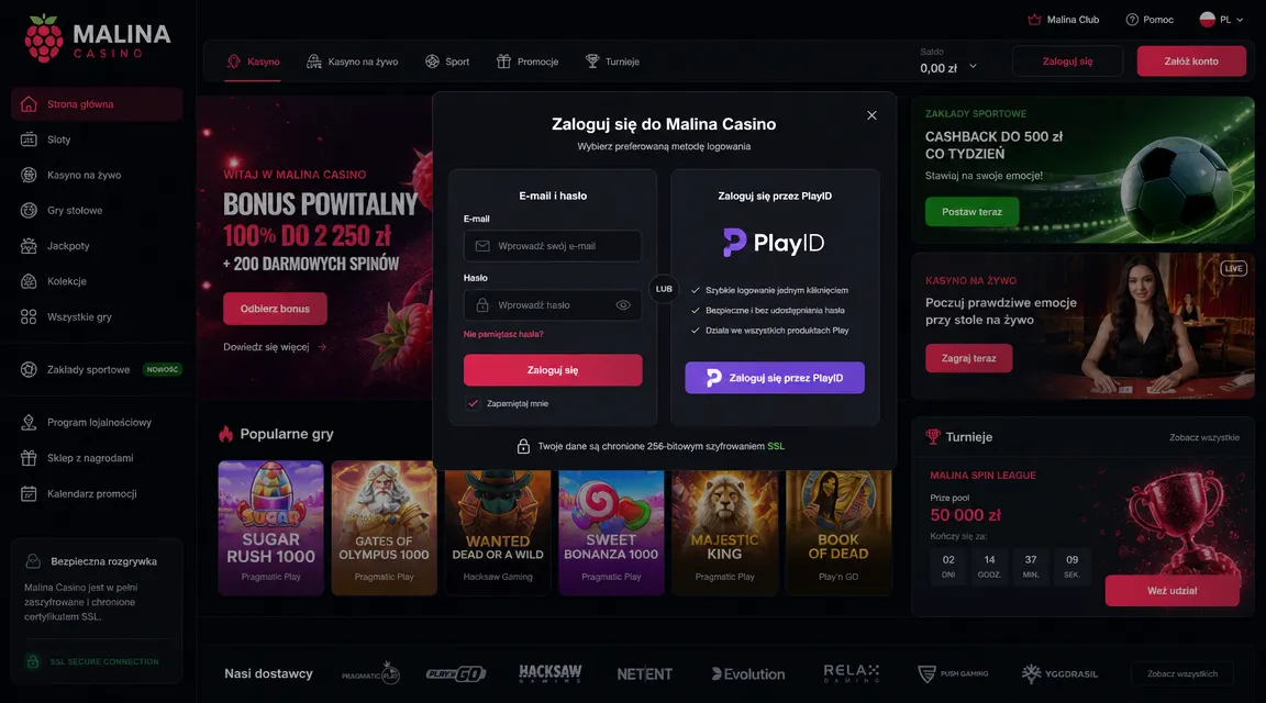 Dostępne opcje logowania w Malina Casino login